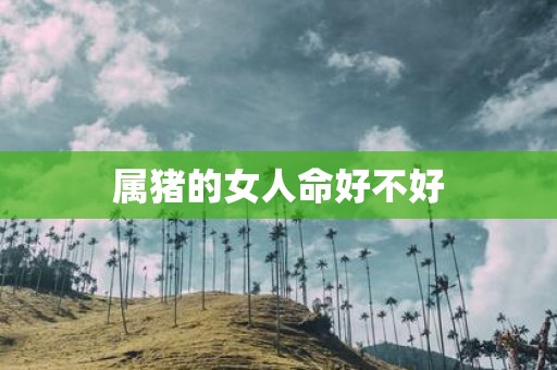 属猪的女人命好不好