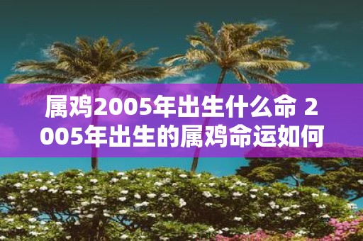 属鸡2005年出生什么命 2005年出生的属鸡命运如何