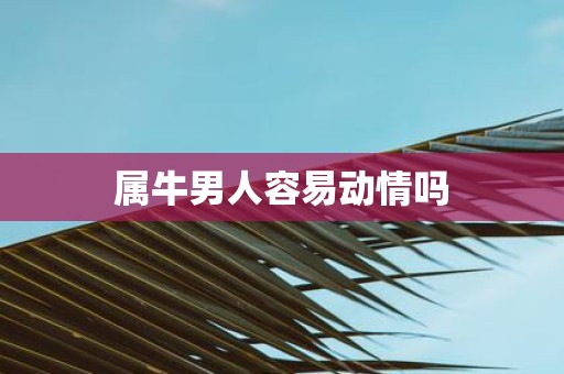 属牛男人容易动情吗