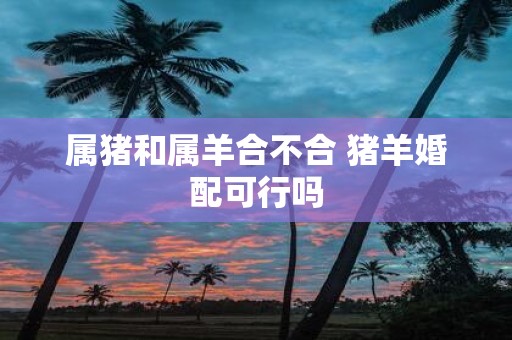 属猪和属羊合不合 猪羊婚配可行吗