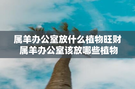 属羊办公室放什么植物旺财 属羊办公室该放哪些植物招财