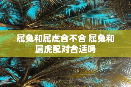属兔和属虎合不合 属兔和属虎配对合适吗