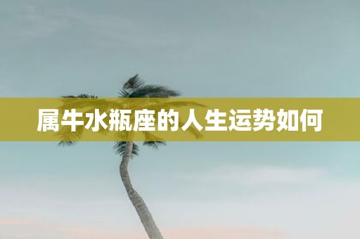 属牛水瓶座的人生运势如何