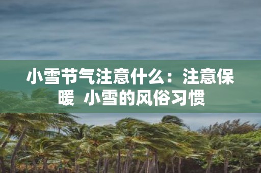 小雪节气注意什么：注意保暖 小雪的风俗习惯