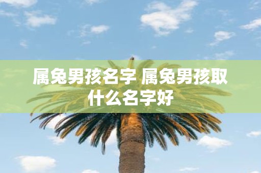 属兔男孩名字 属兔男孩取什么名字好