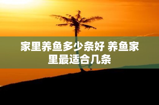 家里养鱼多少条好 养鱼家里最适合几条 家里养鱼多少条好 养鱼家里最适合几条