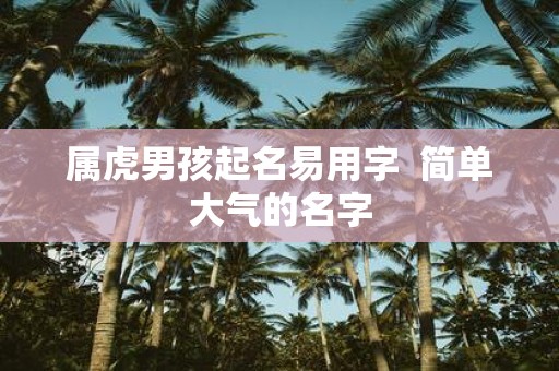 属虎男孩起名易用字 简单大气的名字