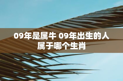 09年是属牛 09年出生的人属于哪个生肖