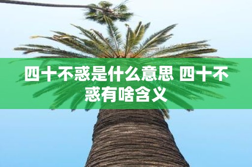 四十不惑是什么意思 四十不惑有啥含义