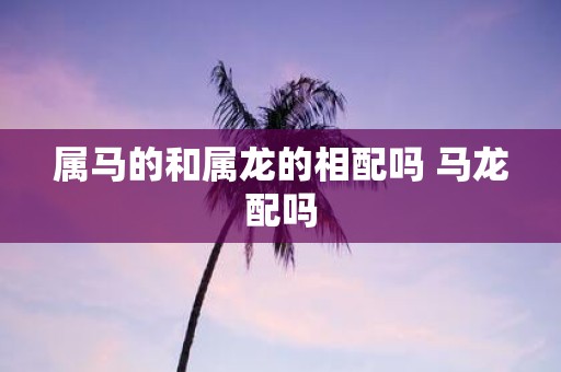 属马的和属龙的相配吗 马龙配吗