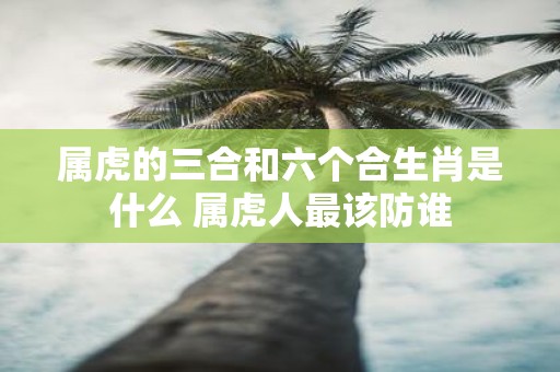 属虎的三合和六个合生肖是什么 属虎人最该防谁
