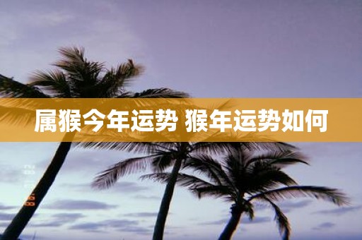 属猴今年运势 猴年运势如何