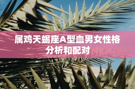 属鸡天蝎座A型血男女性格分析和配对