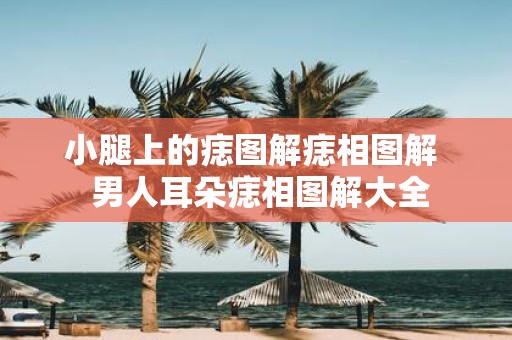小腿上的痣图解痣相图解 男人耳朵痣相图解大全