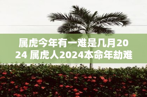 属虎今年有一难是几月2025 属虎人2025本命年劫难