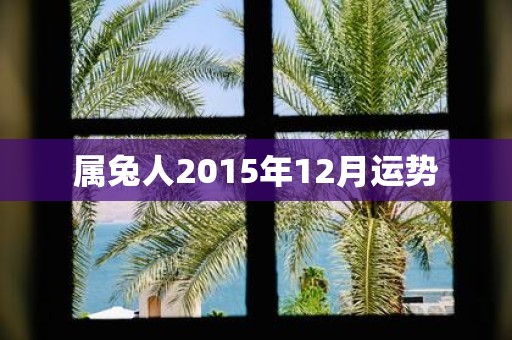 属兔人2015年12月运势