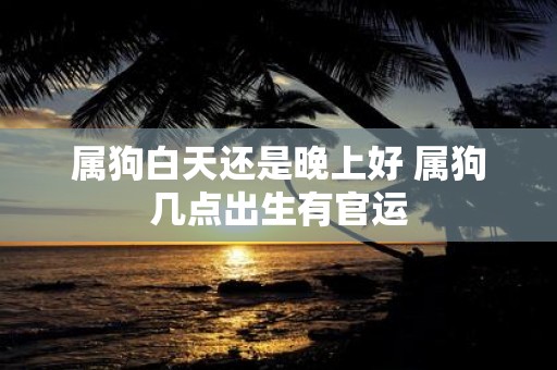 属狗白天还是晚上好 属狗几点出生有官运