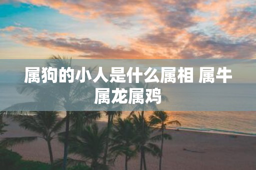 属狗的小人是什么属相 属牛属龙属鸡
