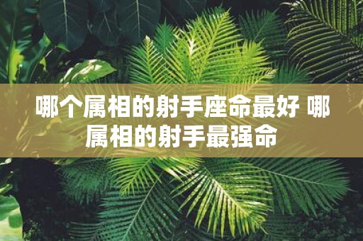 哪个属相的射手座命最好 哪属相的射手最强命