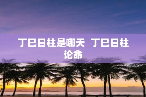 丁巳日柱是哪天 丁巳日柱论命