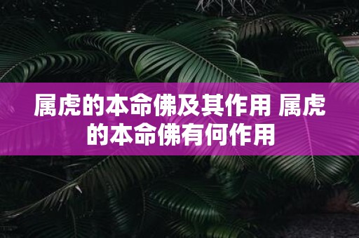 属虎的本命佛及其作用 属虎的本命佛有何作用
