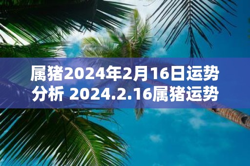 属猪2025年2月16日运势分析 2025.2.16属猪运势分析