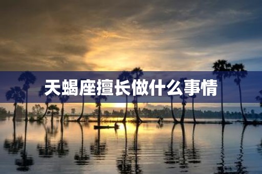 天蝎座擅长做什么事情