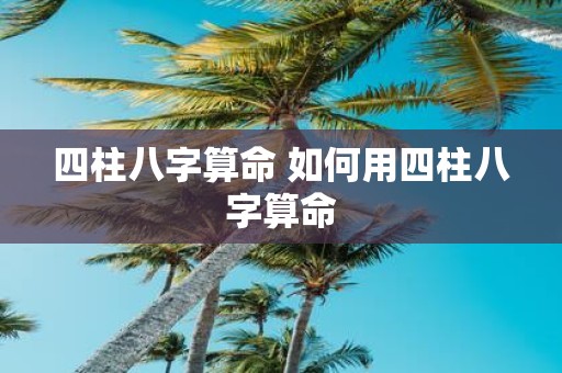 四柱八字算命 如何用四柱八字算命