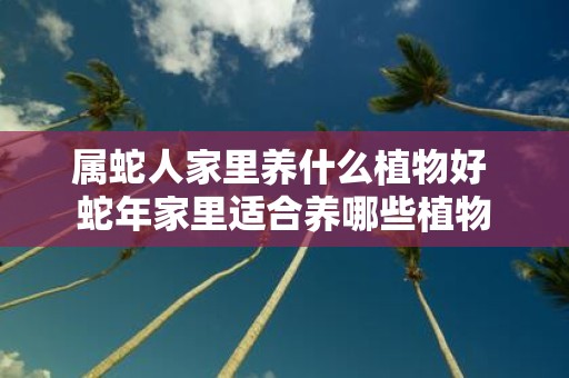 属蛇人家里养什么植物好 蛇年家里适合养哪些植物