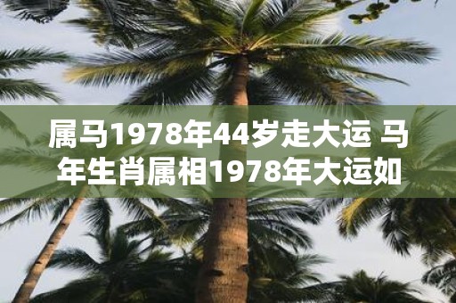 属马1978年44岁走大运 马年生肖属相1978年大运如何