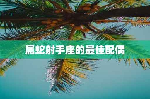 属蛇射手座的最佳配偶