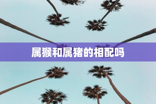 属猴和属猪的相配吗