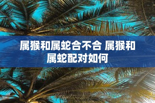 属猴和属蛇合不合 属猴和属蛇配对如何