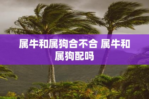 属牛和属狗合不合 属牛和属狗配吗