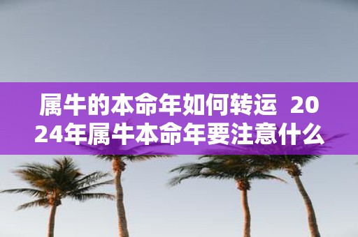 属牛的本命年如何转运 2025年属牛本命年要注意什么