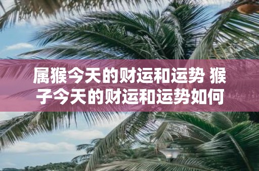 属猴今天的财运和运势 猴子今天的财运和运势如何