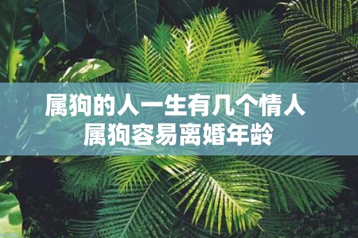 属狗的人一生有几个情人 属狗容易离婚年龄