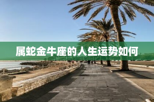 属蛇金牛座的人生运势如何