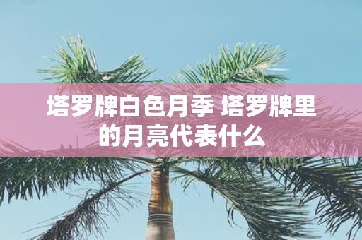 塔罗牌白色月季 塔罗牌里的月亮代表什么