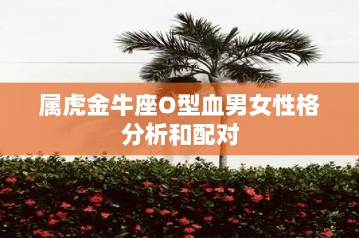 属虎金牛座O型血男女性格分析和配对
