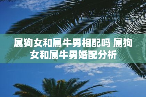 属狗女和属牛男相配吗 属狗女和属牛男婚配分析