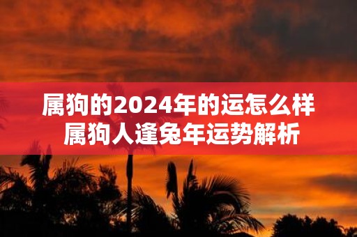 属狗的2025年的运怎么样 属狗人逢蛇年运势解析