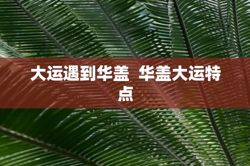 大运遇到华盖 华盖大运特点