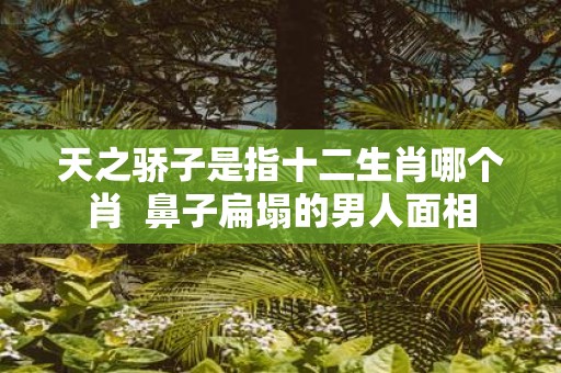 天之骄子是指十二生肖哪个肖 鼻子扁塌的男人面相