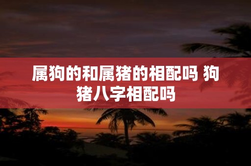 属狗的和属猪的相配吗 狗猪八字相配吗