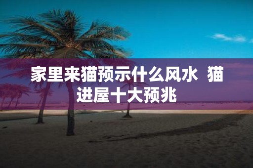 家里来猫预示什么风水 猫进屋十大预兆