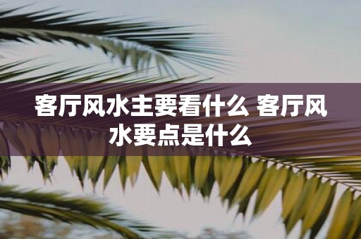 客厅风水主要看什么 客厅风水要点是什么