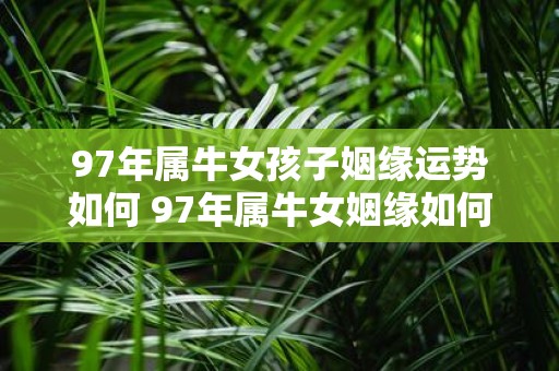97年属牛女孩子姻缘运势如何 97年属牛女姻缘如何