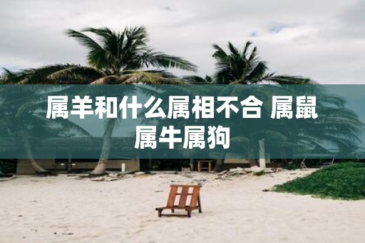 属羊和什么属相不合 属鼠属牛属狗