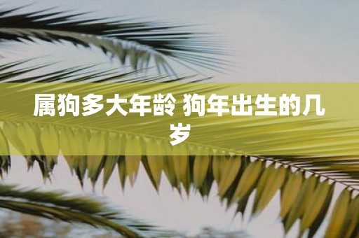 属狗多大年龄 狗年出生的几岁